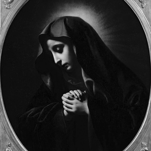 丰满人妻女人一区二区三
